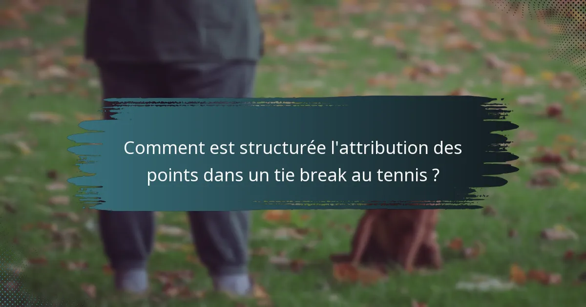 Comment est structurée l'attribution des points dans un tie break au tennis ?