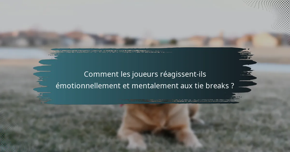 Comment les joueurs réagissent-ils émotionnellement et mentalement aux tie breaks ?