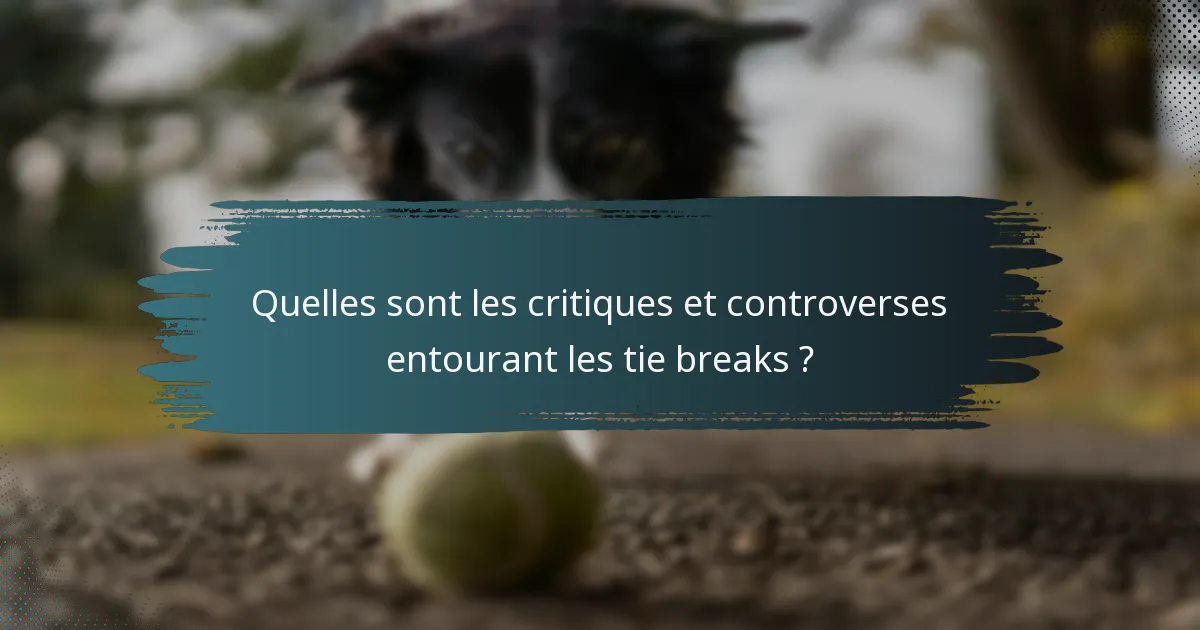 Quelles sont les critiques et controverses entourant les tie breaks ?