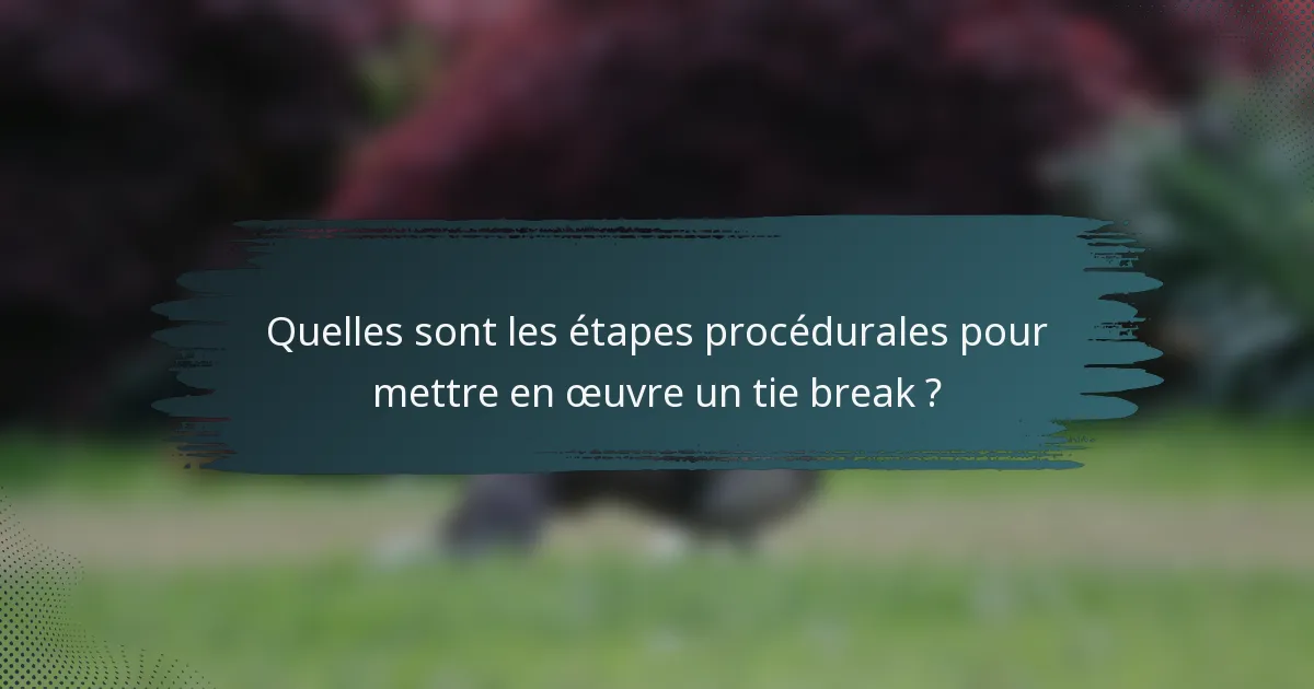 Quelles sont les étapes procédurales pour mettre en œuvre un tie break ?