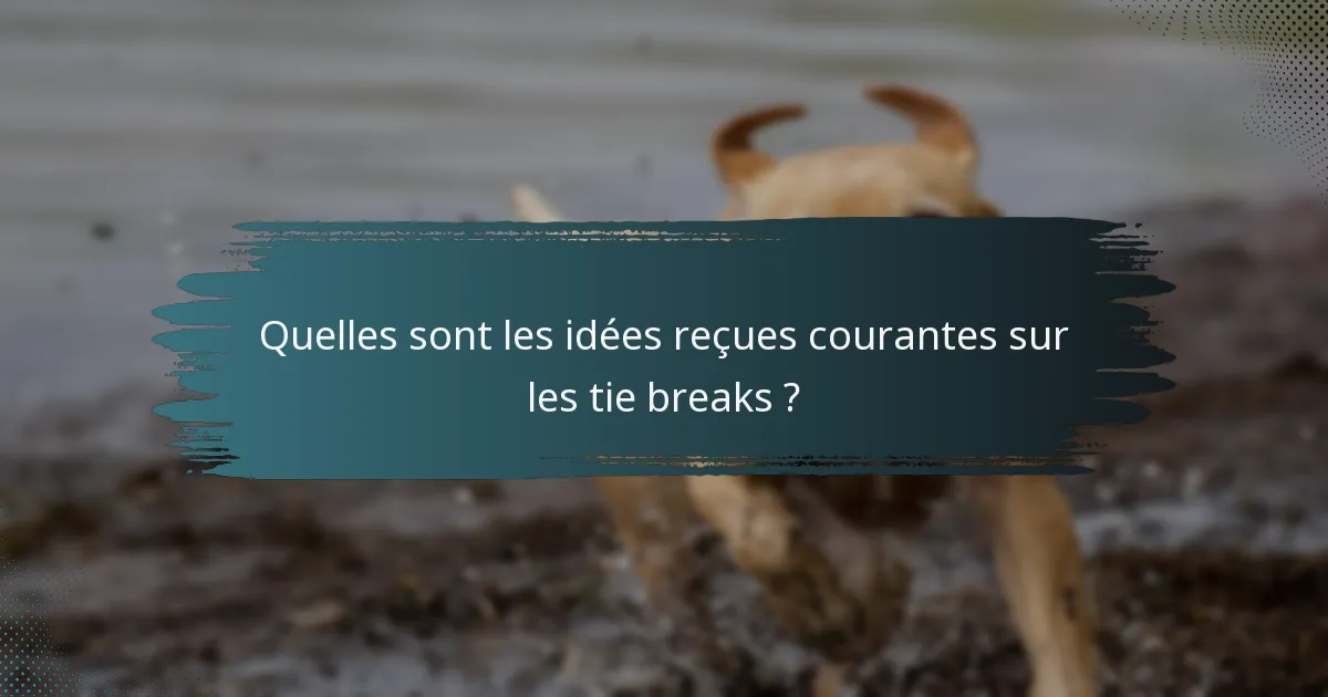 Quelles sont les idées reçues courantes sur les tie breaks ?