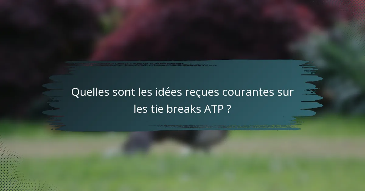 Quelles sont les idées reçues courantes sur les tie breaks ATP ?
