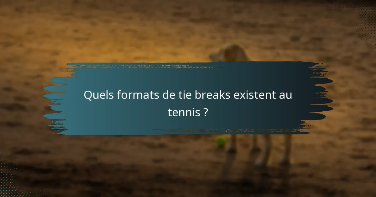 Quels formats de tie breaks existent au tennis ?