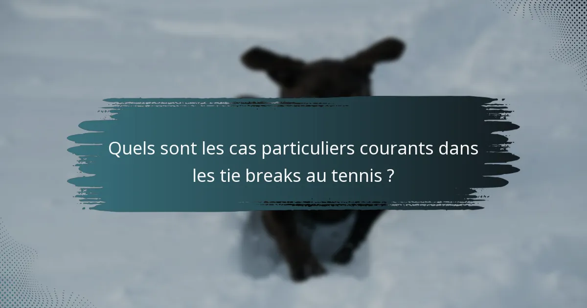Quels sont les cas particuliers courants dans les tie breaks au tennis ?
