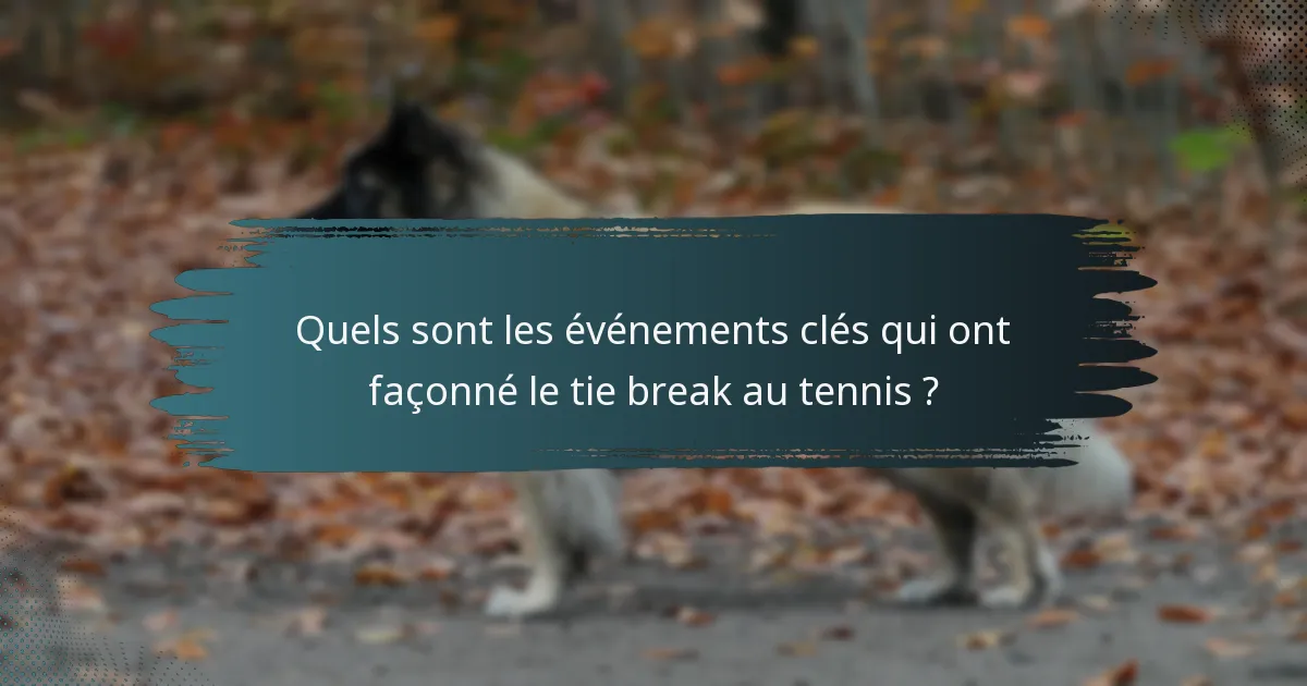 Quels sont les événements clés qui ont façonné le tie break au tennis ?